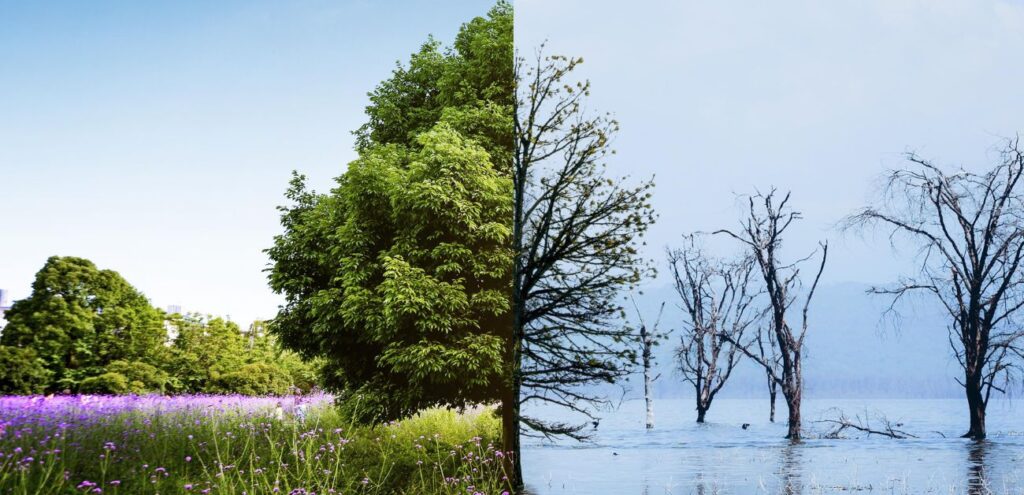 Split image showing a lush, green landscape on the left and a barren, flooded area on the right, illustrating seasonal cycles' impact on Google Ads strategies.